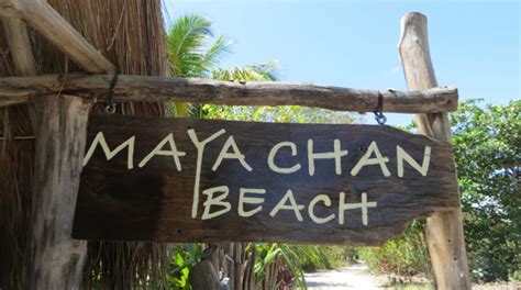 maya chan reviews|Maya Chan Beach Resort Review .